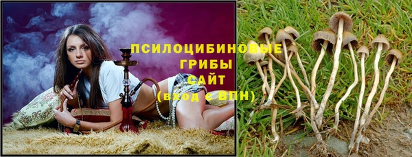 мдпв Сатка