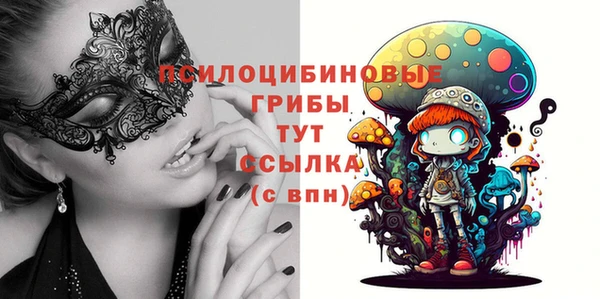 мдпв Сатка