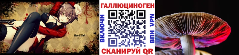 Галлюциногенные грибы прущие грибы  Купить  Данков 